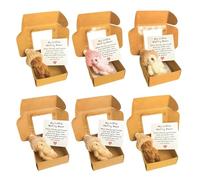 6 PCS Worry Bear in a Box, Mini Plush Teddy Bears with Inspirational Card, Pocket Sized Hug Present for Anxiety Relief, Positive Good Luck Gifts for Kids, Friends, Women, Men for Christmas Birthday