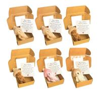 6 PCS Worry Bear, My Little Worry Bear in a Box with a Motivational Card, Mini Plush Bears Set for Gifts for Friends Family and Children (Brown, White, Coffee, Pink)