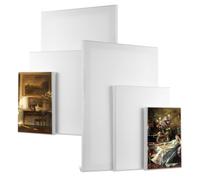 6 PcsCanvas for Painting, Blank Art Stretched Canvas for Painting Board Set, Cotton Canvases, White Canvas Boards for Painting Acrylic Oil, Art Supplies for Adults Artists(30x20cm,20x15cm,15x10cm)