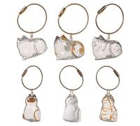 [6-Piece] Cat Hair Holder Keychain, Cat Hair Storage Bottle, Pet Fur Keepsake Capsule Collector Memorial Keychain