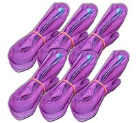 6-Piece Set Professional Round Sling 1 Tonne 1 Metre Coverage Trusses Lifting Slings EN 1492-2 Purple