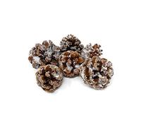 6 Pine Cones - Snowy or Natural - Christmas Wreath & Garland Decoration (Frosty)