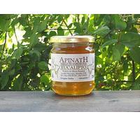 6 Pot x 250 gr - Eucalyptus Honey Made in Sardinia by The Great Beekeeper of Marrubiu, Scarabelli