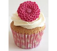 6 Pretty Sugar Lattice Flowers: Bright Pink