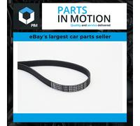 6 Rib Multi V Drive Belt 6PK1059ELAST Continental 4M5Q6C301HC 4M5Q6C301JA New