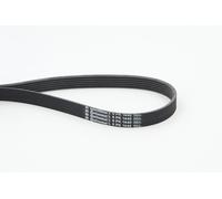 Contitech 6PK1440 V-Ribbed Belt