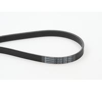 ContiTech 6PK1580 V-ribbed belt, Unbekannt
