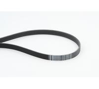 6 Rib Multi V Drive Belt fits AUDI A8 D3 3.0D 03 to 10 Continental 059903137T