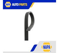 GATES 6DPK1698 Micro-V Xf Ribbed V-Belt