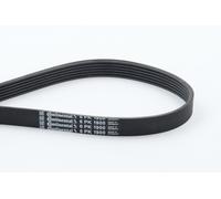 6 Rib Multi V Drive Belt fits DAEWOO NUBIRA J100 2.0 1997 on X20SED Continental