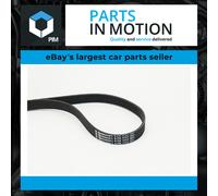 6 Rib Multi V Drive Belt fits FORD FOCUS Mk1 1.4 1.6 98 to 01 Continental New