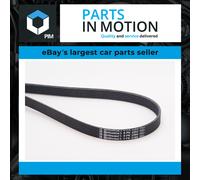 Multi-ribbed V-belt 6PK2260 CONTINENTAL CTAM for MERCEDES-BENZ OPEL AUDI PORSCHE