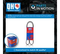 Quinton Hazell QBR61175 Drive Belt