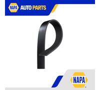 6 Rib Multi V Drive Belt fits MINI CONVERTIBLE ONE R57 1.6 10 to 14 N16B16A New