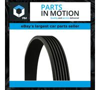 Multi-ribbed V-belt 6PK2115 CONTINENTAL CTAM for MERCEDES-BENZ PORSCHE VW FORD