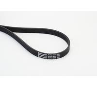 Contitech 6PK1698 Loose Multi-V Belt