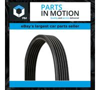 6 Rib Multi V Drive Belt fits SKODA OCTAVIA Mk1 1.6 1.8 2.0 1.9D 96 to 10 New