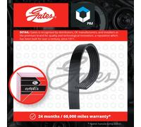 Gates 6PK1218XS V-Ribbed Belt