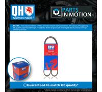6 Rib Multi V Drive Belt QBR61042E Quinton Hazell 1142688 1148908 1S4E6C301AB