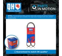 Quinton Hazell QBR61055 Drive Belt