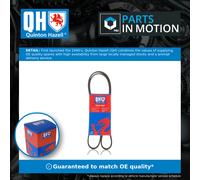 Quinton Hazell QBR61250 Drive Belt