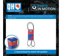 6 Rib Multi V Drive Belt QBR61463 Quinton Hazell 56992P5TG20 PQS100850 1340617