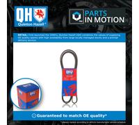 6 Rib Multi V Drive Belt QBR61900 Quinton Hazell 078903137AJ 6200265 1011698 New