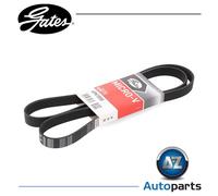 Multi-ribbed V-belt 6PK1555 GATES for BMW FORD OPEL VOLVO PORSCHE ROVER AUDI