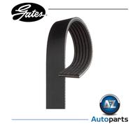 Multi-ribbed V-belt 6PK1700 GATES for VW SEAT CITROËN PEUGEOT BMW FORD ALPINA