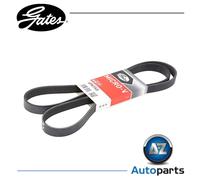 6 Rib V-Ribbed Belt 6PK1740 Gates 5750.VS