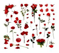 6 Sheets Rose Stickers, Vintage Red Flower Themed Stickers, Self-Adhesive Floral Sticker, PET Waterproof Transparent Decals for Scrapbook Cards Journaling Bottles DIY Crafts Decoration