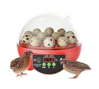 6-Slot Small Egg Incubator - 6-Slot Small Candler, Clear Window Poultry Hatcher Led Screen | Automatic Temperature Humidity Control Chick Duck Quail Farm Classroom Home Educational Kit