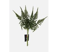 6 Stem Textured Small Artificial Asparagus Fern Bundle x 26cm - Green Leaf Foliage
