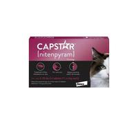 (6 Tablets) 6 Pack Capstar Flea Treatment for Cats | AVM-GSL