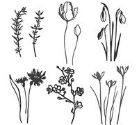 6 Type Flower Dies for Card Making Snowdrops Crocus Cherry Blossom Branch Metal Cutting Dies for Paper Crafting DIY Scrapbooking Embossing Stencil Die Cuts Punch Template Molds Arts Supplies Album Dec