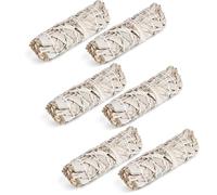 6 White Sage, White Sage Smoking, Premium Incense Bundle, 100% Controlled and Sustainable Harvest, Eliminates Negative Energies, for Spiritual and Energetic Rituals