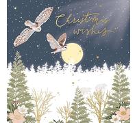 6 Winter Moonlit Owls Christmas Cards - Charity Xmas Cards Made in the UK