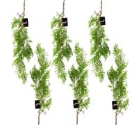 6 x 100cm Artificial Hanging Maidenhair Fern Plant Dark Green Leaf Green One Size