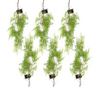 6 x 100cm Artificial Hanging Maidenhair Fern Plant Light Green Leaf Green One Size