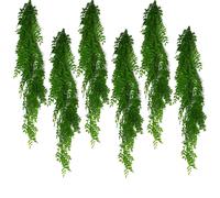 6 x 100cm Hanging String of Pearls Fern Plant Light Green Leaf Green One Size