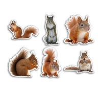 6 x 10cm Squirrel Vinyl Stickers - Forrest Funny Animal Pattern Nature Pets Face Wild Girls Boys Travel Scrapbooking #80818