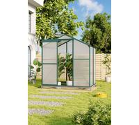 6 x 4 ft Polycarbonate Garden Greenhouse, Large Walk-in Greenhouse with Sliding Door & Ventilation Window,Green House with Aluminum Frame and Base Fou Living and Home Clear One Size