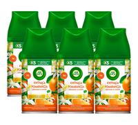 6 x Air Wick Freshmatic Automatic Spray Refill 250ml - Orange Flower