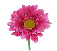 6 x Artificial Single Stem Hot Pink Gerbera with Big Bloom - very dramatic - home garden