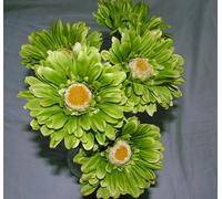 6 x Artificial Single Stem Lime Green Gerbera with Big Bloom - very dramatic - home garden