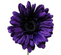 6 x Artificial Single Stem Purple Gerbera with Big Bloom - very dramatic - home garden