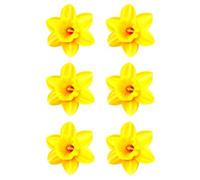 6 x Daffodil Flower Edible Wafer or Icing Cupcake Toppers Fun Spring Party Cake Decorations Perfect For Brownies Cookies Muffins & More! (Premium Icing Sheet)