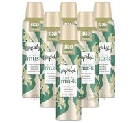 6 x IMPULSE HINT OF MUSK LARGE BODY SPRAY 150ml