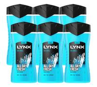 6 x Lynx All Day Ice Chill 24H Refreshing Fragrance Shower Gel Bodywash 225ml