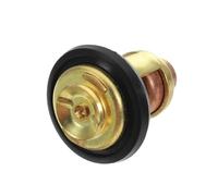 60℃ 143℉ Thermostat Seal For Outboard Motor OMC Boat Engine 484841 734841 5005440 18-3553 378065